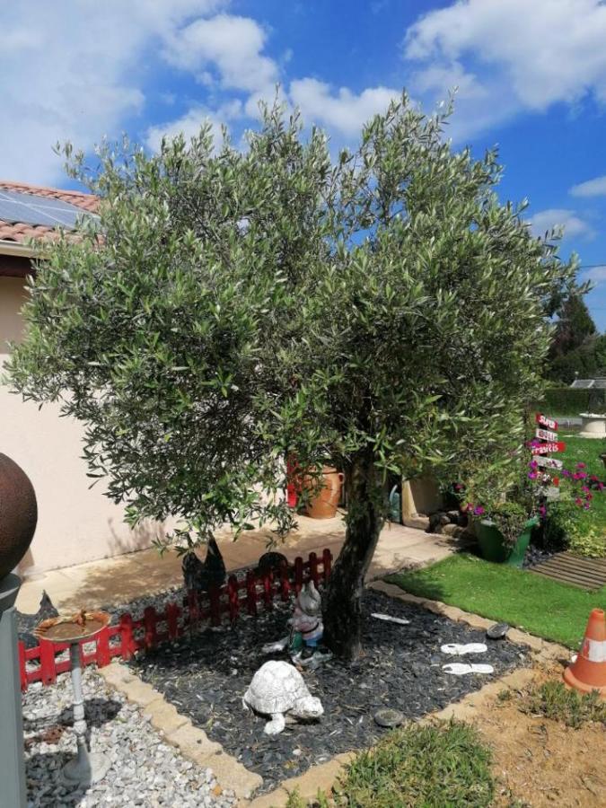 La Roulotte Des Trois Arbres Acomodação com café da manhã Oradour-sur-Glane Exterior foto